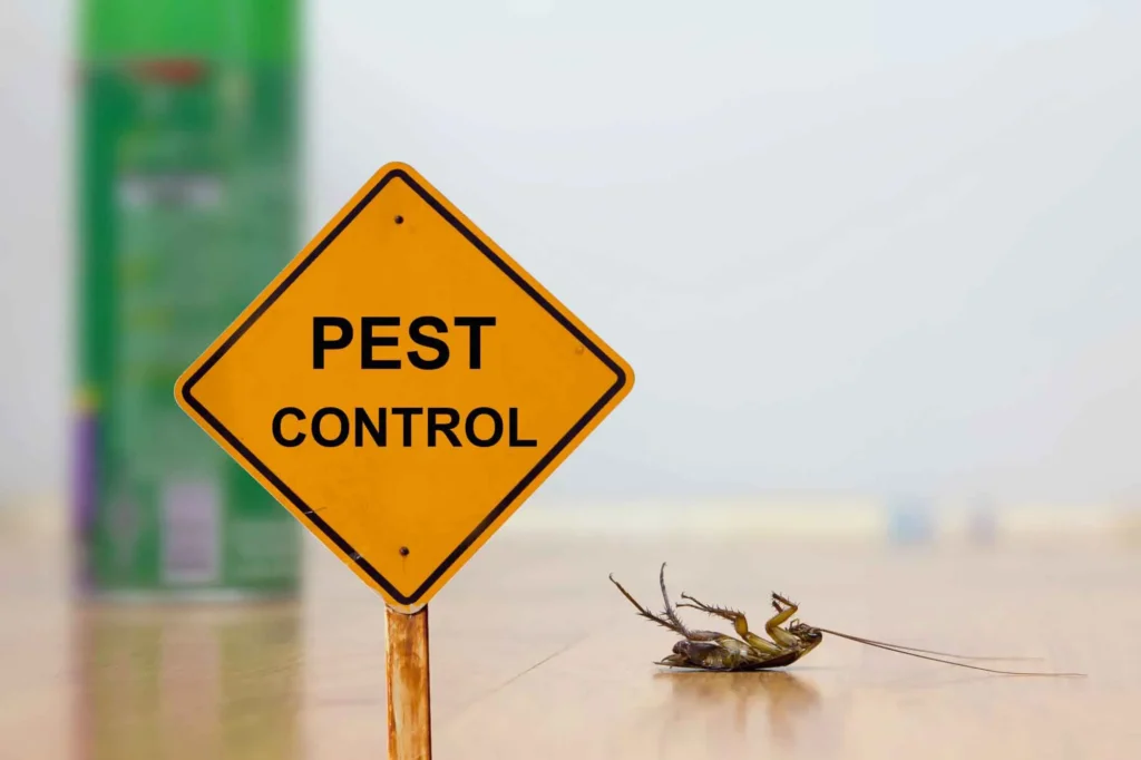 termite control service