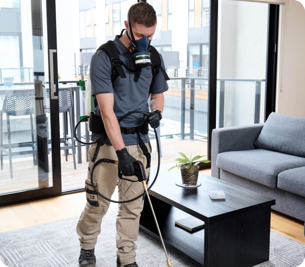 termite control service
