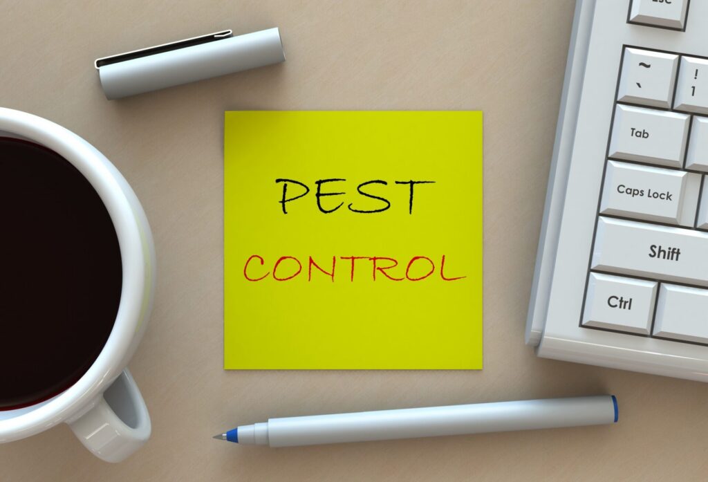 5 Questions to Ask Before Hiring for Pest Control Sydney


